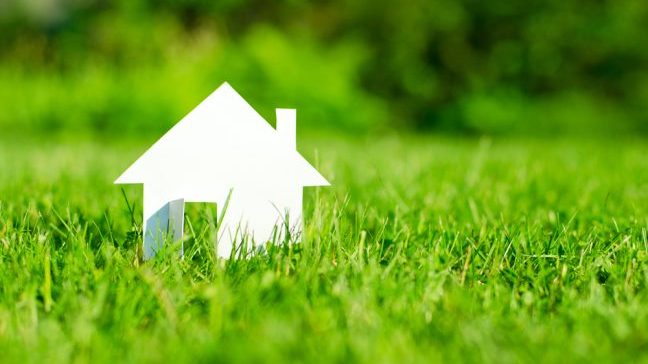 “Land Ownership Tips in Dominica & St. Vincent” Summary: